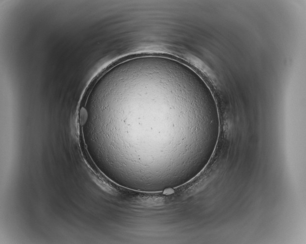 X0000116661372200912211459