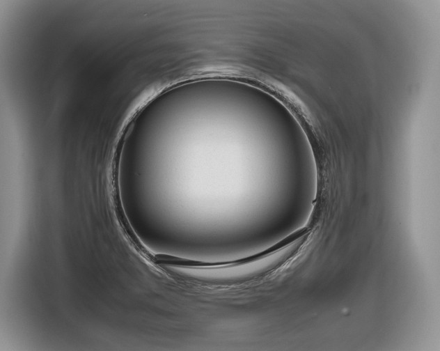 X0000116661373200912211459