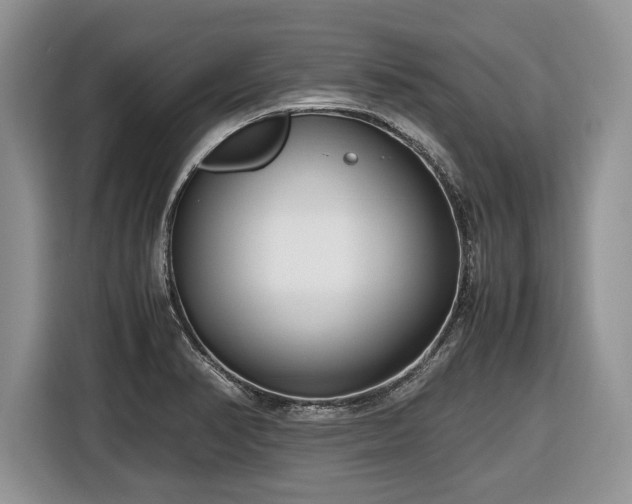 X0000116661374200912211459