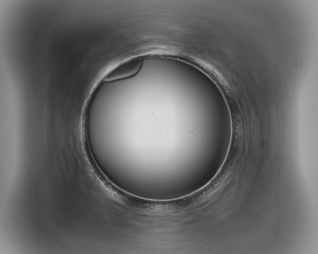 X0000116661375200912211459