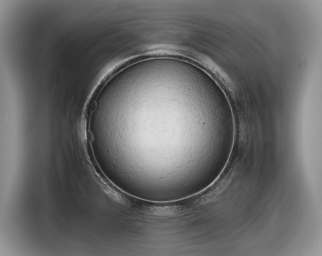 X0000116661376200912211459