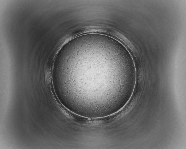 X0000116661377200912211459