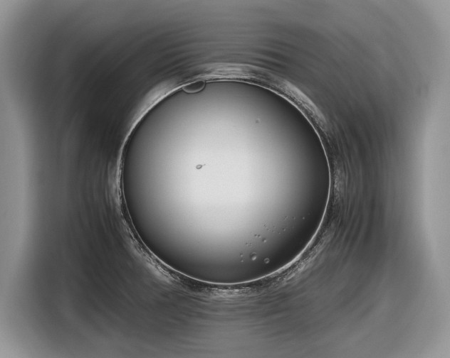 X0000116661378200912211459