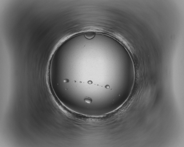 X0000116661379200912211459