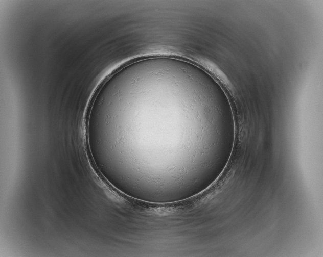 X0000116661380200912211459