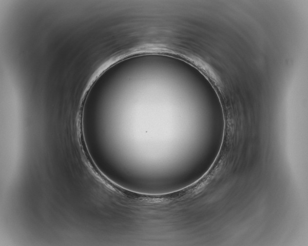 X0000116661382200912211459