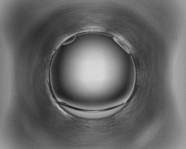 X0000116661383200912211459