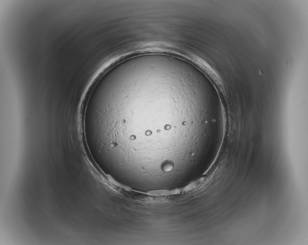 X0000116661384200912211459