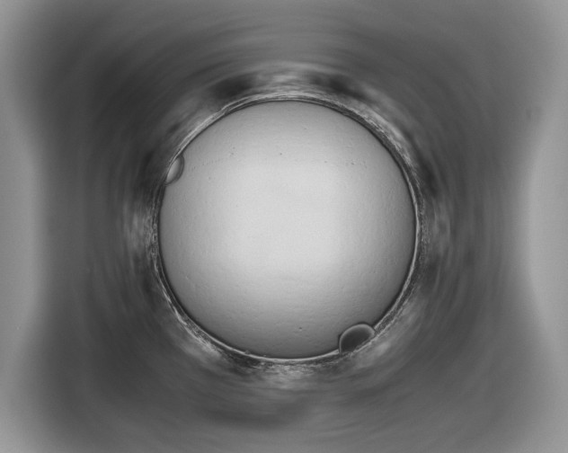 X0000116661385200912211459