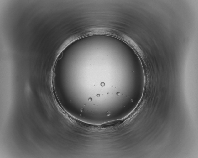 X0000116661386200912211459