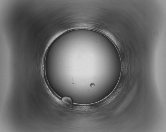 X0000116661387200912211459