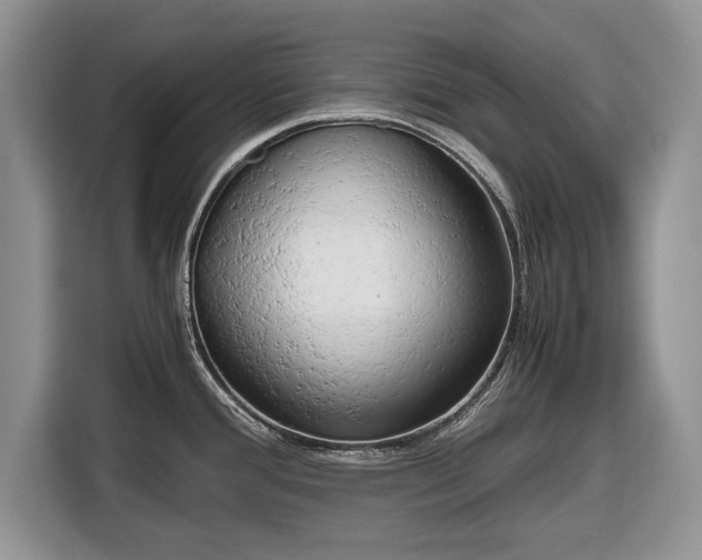 X0000116661388200912211459