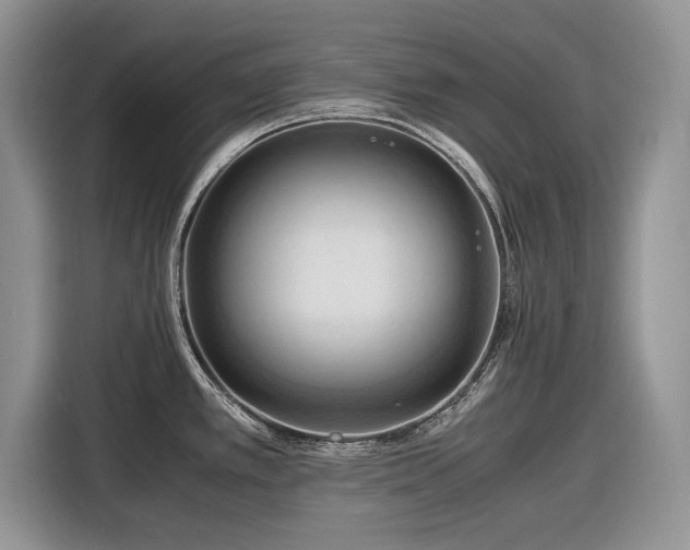 X0000116661389200912211458