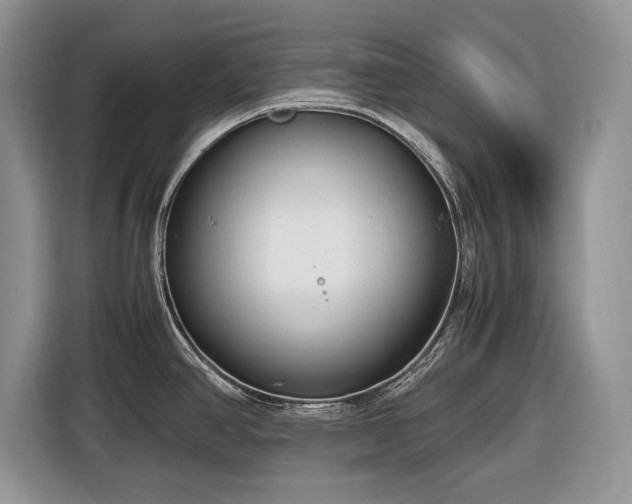 X0000116661390200912211458