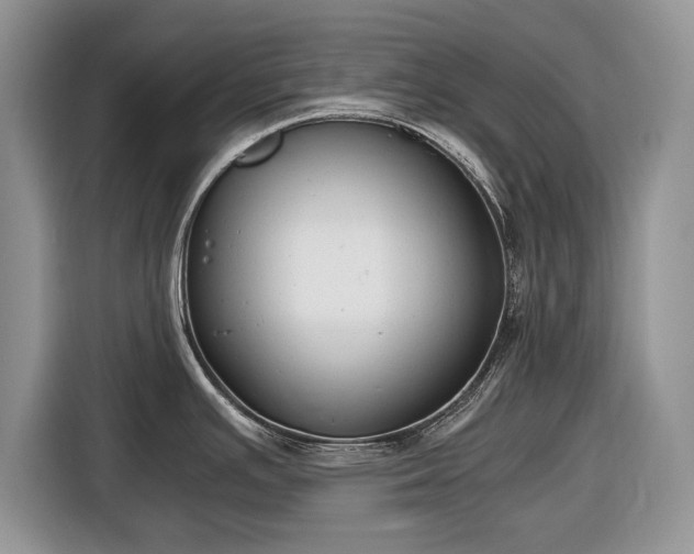 X0000116661391200912211458