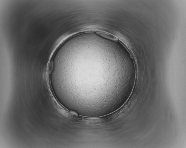 X0000116661392200912211458