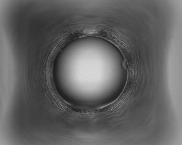 X0000116661393200912211458