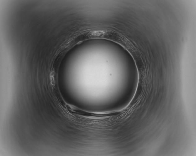 X0000116661394200912211458