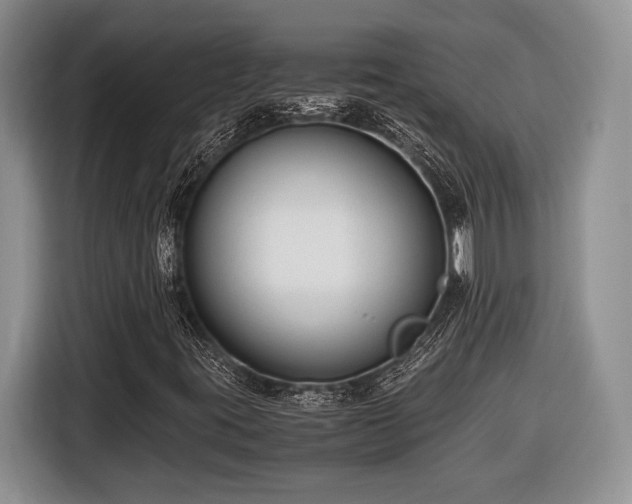 X0000116661395200912211458