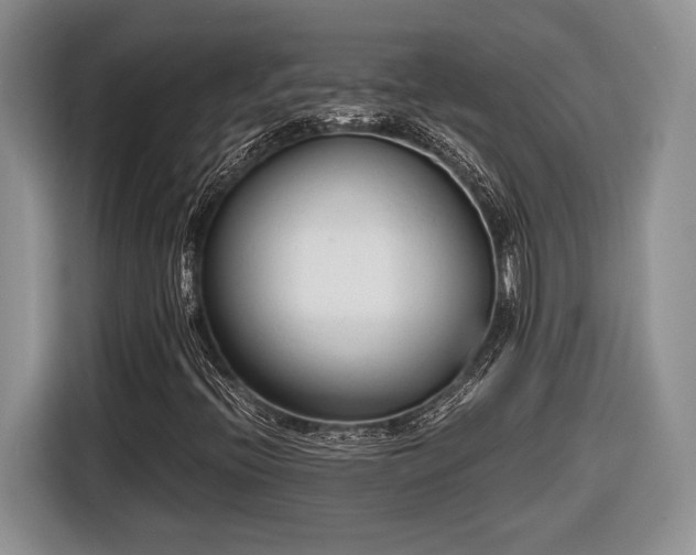 X0000116661396200912211458