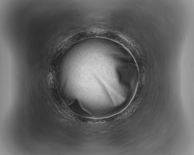 X0000116661397200912211458