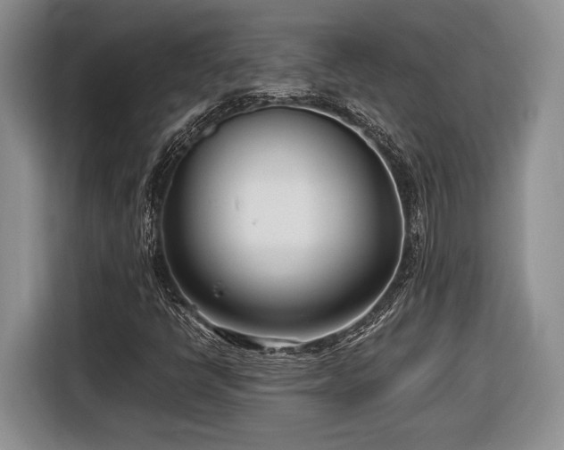 X0000116661398200912211458