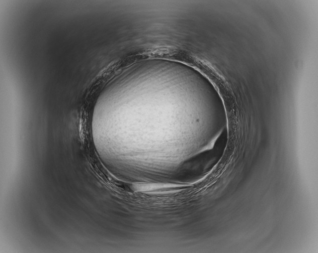 X0000116661399200912211458