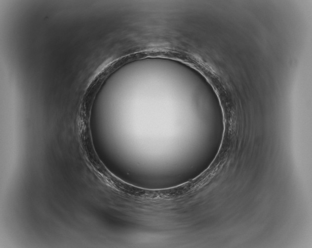 X0000116661400200912211458