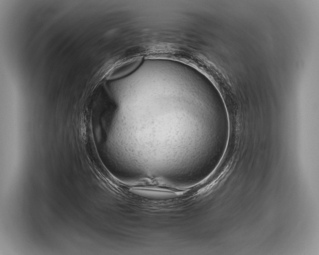 X0000116661401200912211458