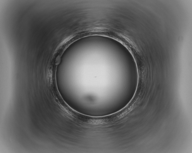 X0000116661402200912211458