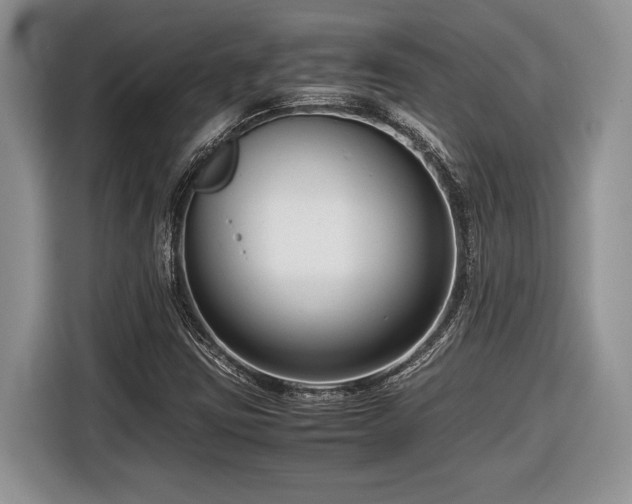 X0000116661403200912211458