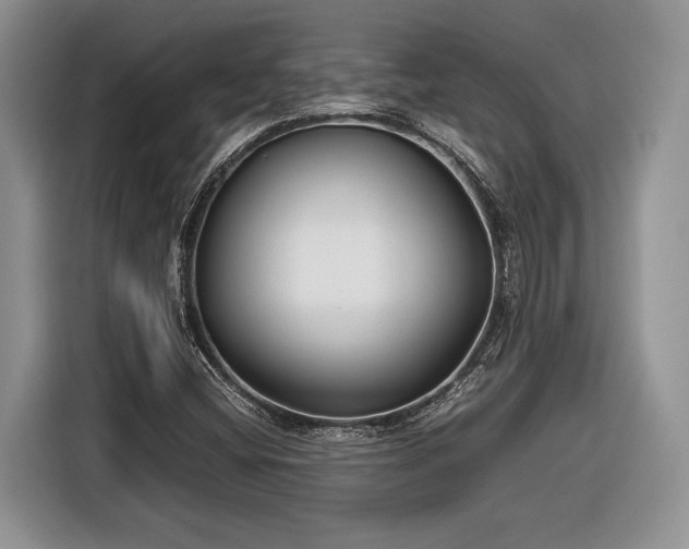 X0000116661404200912211458