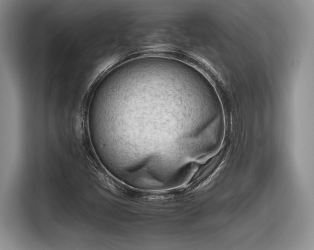 X0000116661405200912211458