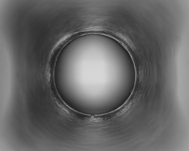 X0000116661406200912211458