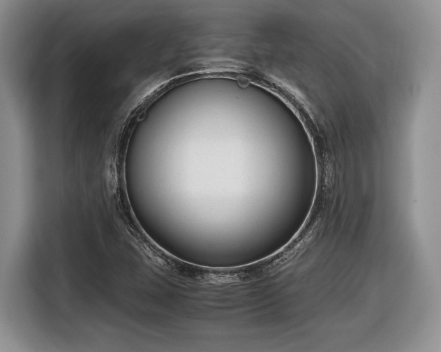 X0000116661407200912211458