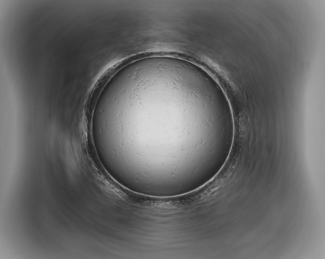 X0000116661408200912211458