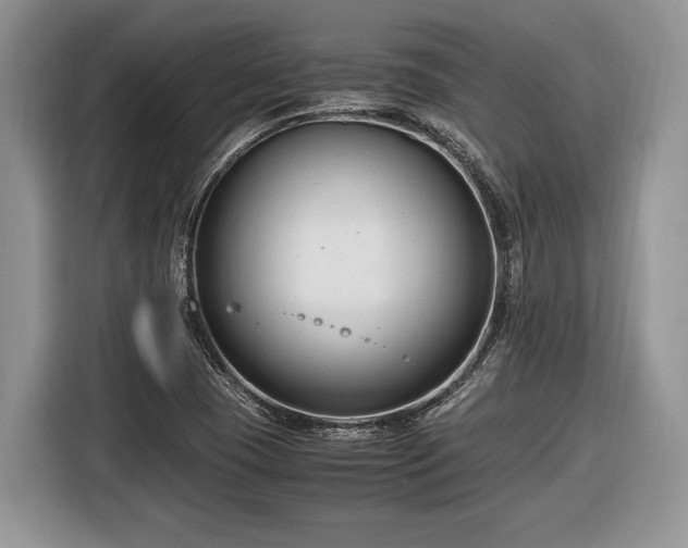 X0000116661409200912211458