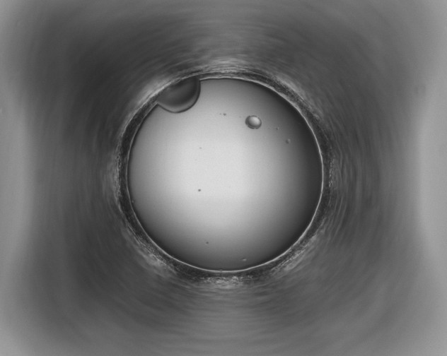 X0000116661410200912211458