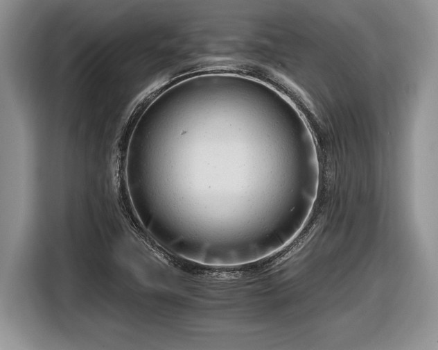 X0000116661411200912211458