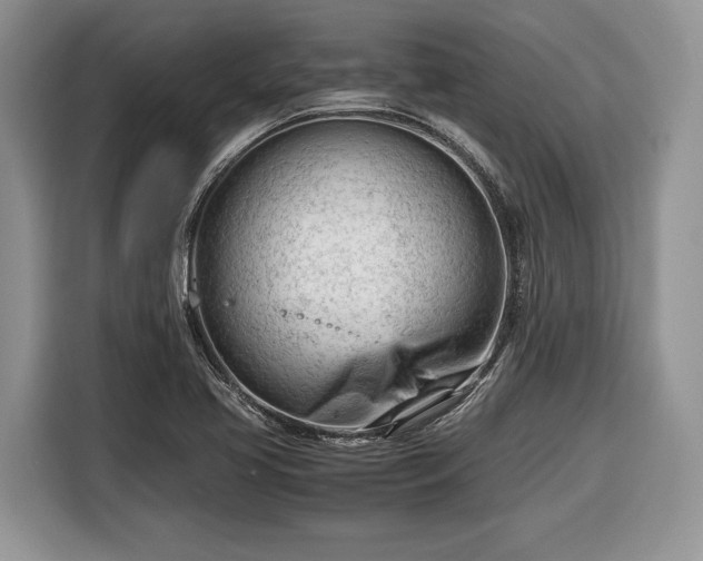 X0000116661413200912211458