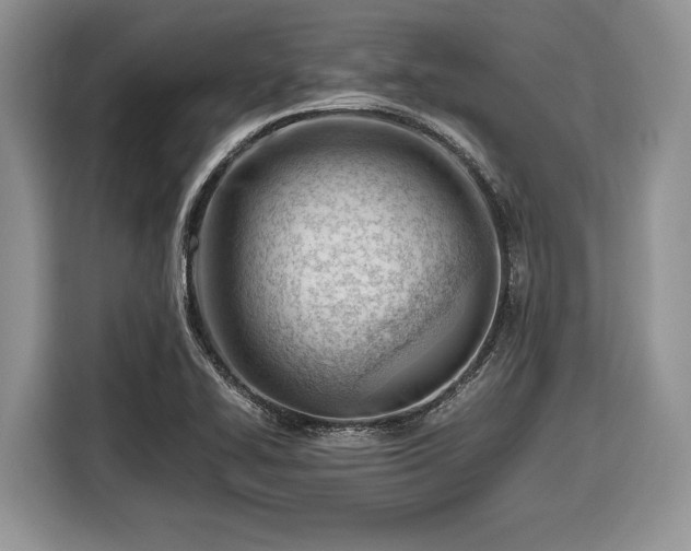 X0000116661414200912211458