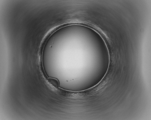 X0000116661416200912211458