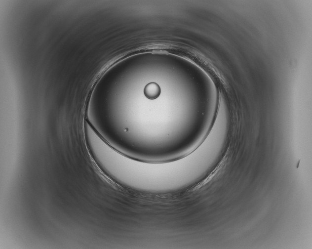 X0000116661417200912211458