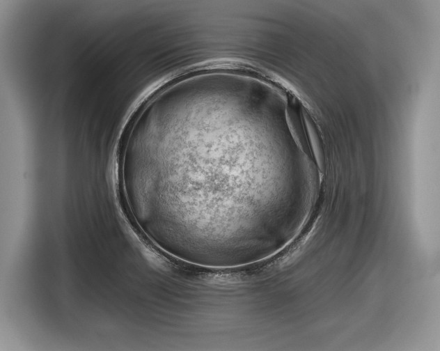 X0000116661418200912211458