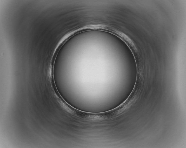 X0000116661420200912211458