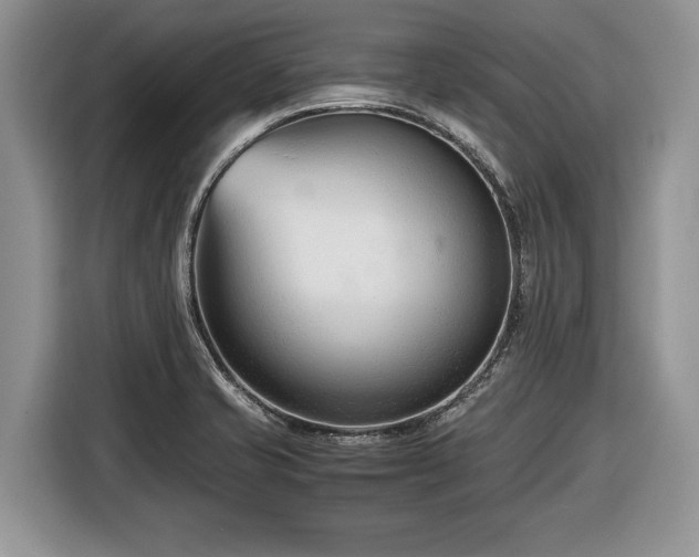 X0000116661421200912211458