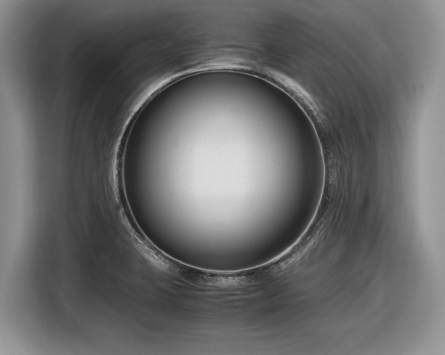 X0000116661423200912211458