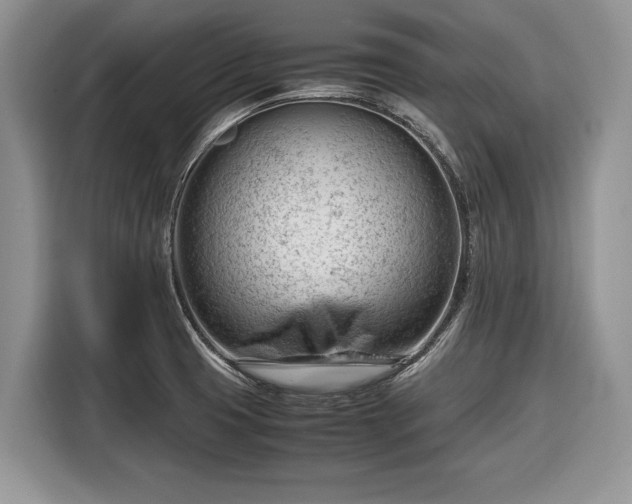 X0000116661425200912211458