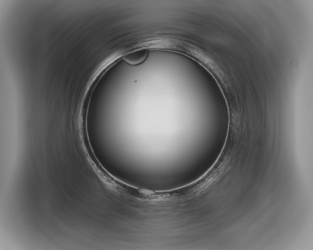 X0000116661426200912211458