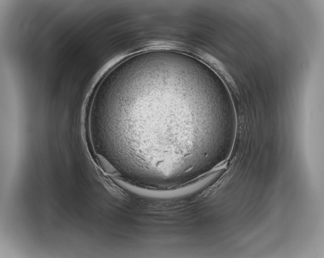 X0000116661427200912211458